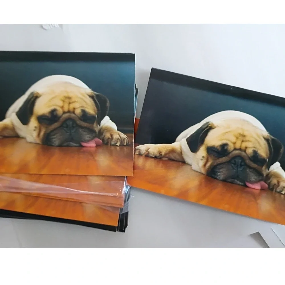 Crown Point Graphics Sleeping Pug Puppy Boxed Note Cards Set with Envelopes‎ NEW